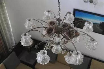 Bed and Breakfast Bird S Nest By Natures Bliss