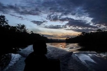 Pension Amazonia Jungle