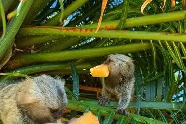 リゾートホテル Casablanca