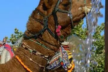 ペンション Ganesh Guest House