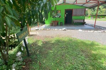 ペンション Yejos Jungle Lodge