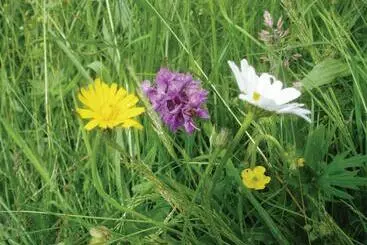 Hospedaria Yha Dartmoor