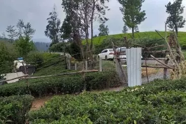 Hotel Janardan Tea Resort   Campsite