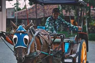 Borobudur Bed & Breakfast   Hostel