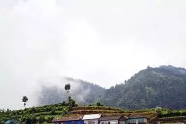 Pensión Diengku Homestay