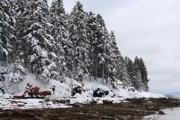 Aamiaismajoitus (B&B) Bluff House Inn