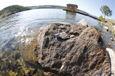 פנסיון Holiday Village Bayar