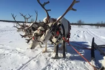 リゾートホテル Bear Corner Lodge