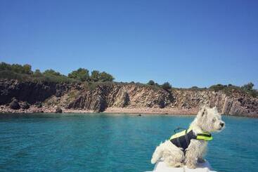 تختخواب و صبحانه Villa Brigida