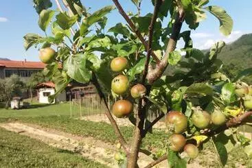 هتل روستایی Agriturismo Cà Del Lupo