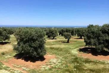 Hotel Rural Masseria Capece