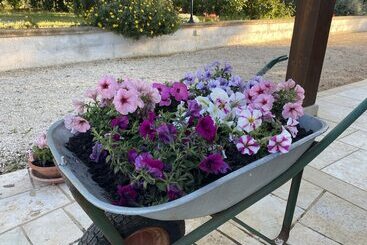 تختخواب و صبحانه Il Trullo Di Giulietta