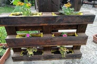 Сельский отель Agriturismo Grotta Dell Eremita