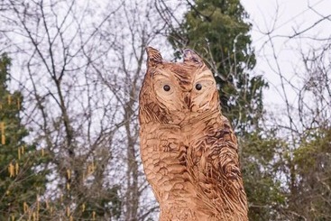 مبيت وإفطار Le Case Nel Bosco