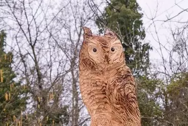 Bed & Breakfast Le Case Nel Bosco