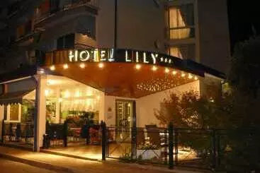 هتل Lily