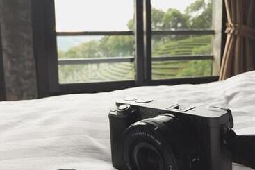 Hotelli 101 Tea Green View