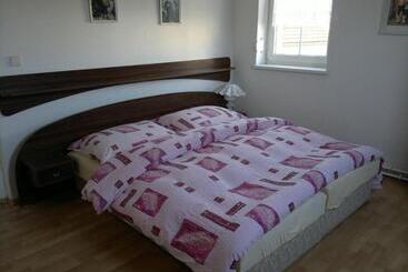 פנסיון Vila Patricie