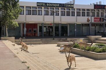 Tzukim Boutique   Desert Traveler S Hotel In Mitzpe Ramon   מלון בוטיק צוקים