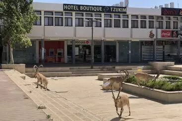 Tzukim Boutique   Desert Traveler S Hotel In Mitzpe Ramon   מלון בוטיק צוקים