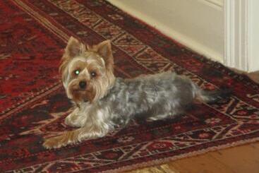 Hotel Brooklands House