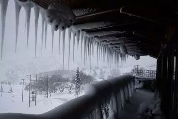 Hotel Metoxi