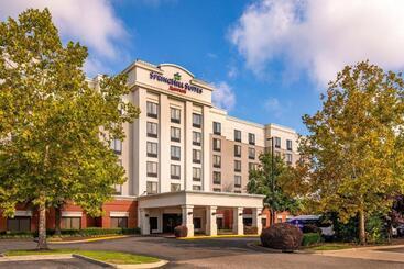 בית מלון כפרי Springhill Suites By Marriott Norfolk Virginia Beach