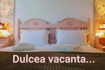 Pensjonat Boemul Neptun