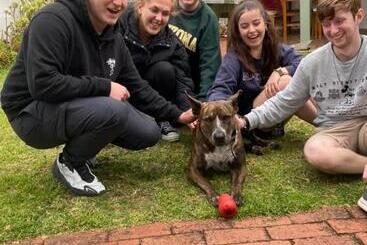 هاستل Port Fairy Yha