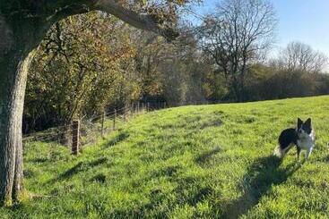 Bed and Breakfast Higher Melcombe Manor