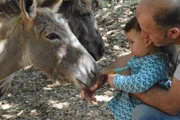 בית מלון כפרי Bellavista