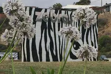 Pensão Zebras Guesthouse