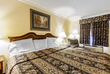 OYO Hotel Rome GA Historic District