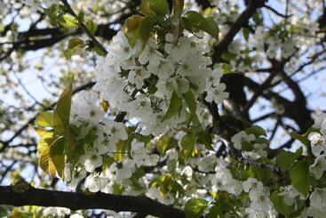 ベッドアンドブレックファースト De Melkfabriek