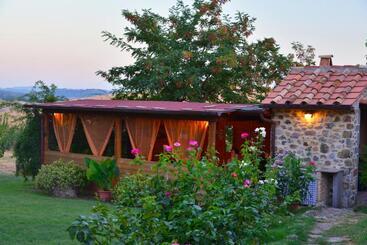 בית מלון כפרי Agriturismo Podere Micitto