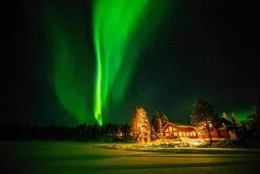 ホテル Pinetree Lodge