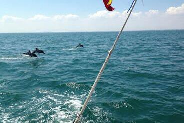 استراحتگاه Lifeharbour Limanu