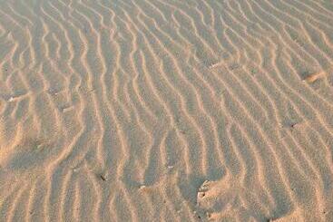 فندق Club De Patos