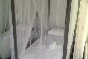 Villa Coconut   Hostel