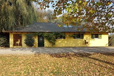 פנסיון Apartments Luisenhof