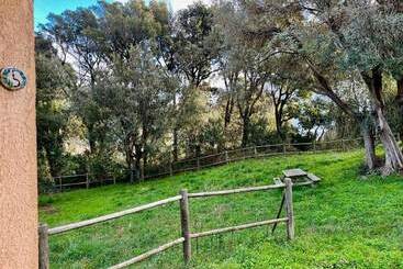 ユースホステル Le Relais De Sisco