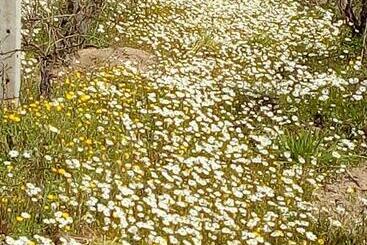 Bed & Breakfast Paui