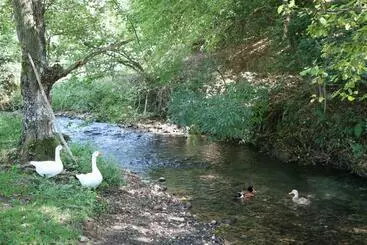 پانسیون Eco Camp Dzogaska Vrela