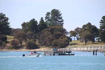 ホテル Swansea Cottages & Lodge Suites