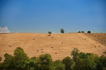 בית מלון כפרי Agriturismo Le Chiuse
