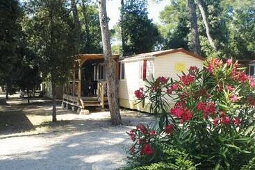 בית מלון כפרי Victoria Mobilehome Camping Park Soline