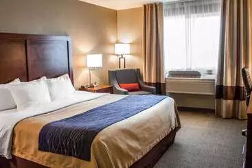 ホテル Comfort Inn & Suites