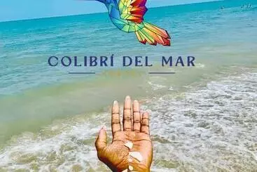 Pension Colibrí Del Mar