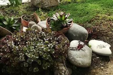 بنسيون Tbilisi Guesthouse Nini