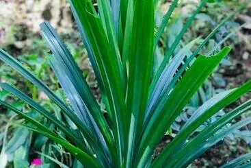 Nocleg ze śniadaniem River Splendour Home Stay